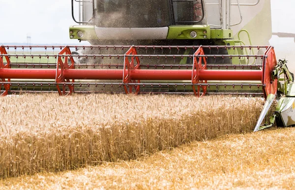 コンバインで麦畑の収穫 — ストック写真