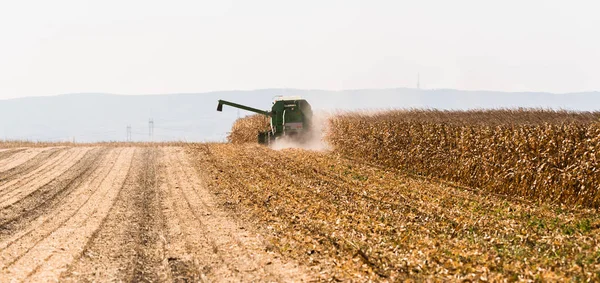 Cosecha Campos Maíz Con Combine —  Fotos de Stock