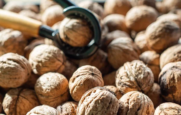 Cascanueces y muchas nueces en la mesa —  Fotos de Stock