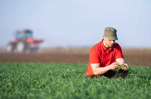 Giovane agricoltore esame campi di grano piantati — Foto Stock