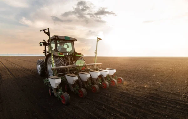 Agricultor con tractor sembrando cultivos de soja en el campo agrícola — Foto de Stock