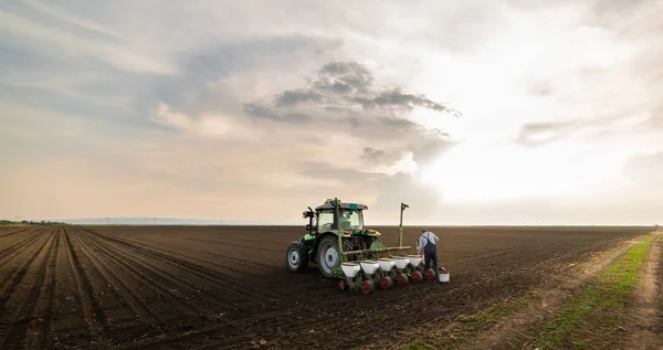 Agricultor con tractor sembrando cultivos de soja en el campo agrícola — Foto de Stock