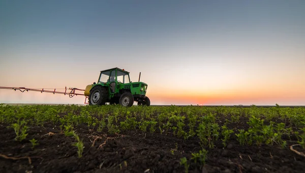 Traktor versprüht Pestizide auf Sojabohnenfeld — Stockfoto