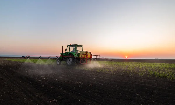 Trator que pulveriza pesticidas no campo de soja — Fotografia de Stock