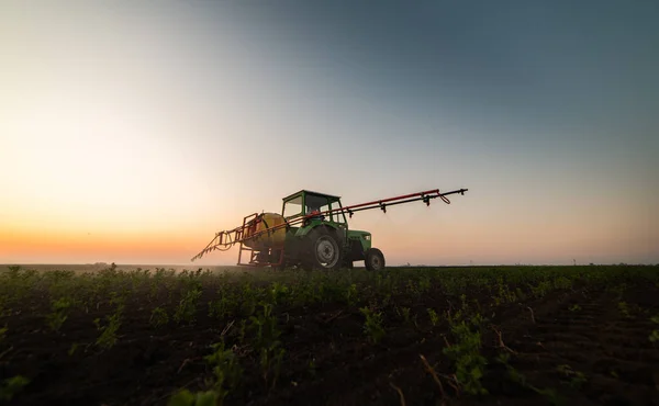 Tractor spuiten pesticiden op sojabonen veld — Stockfoto