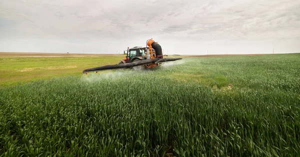 Buğday tarlasında böcek ilacı püskürten traktör — Stok fotoğraf