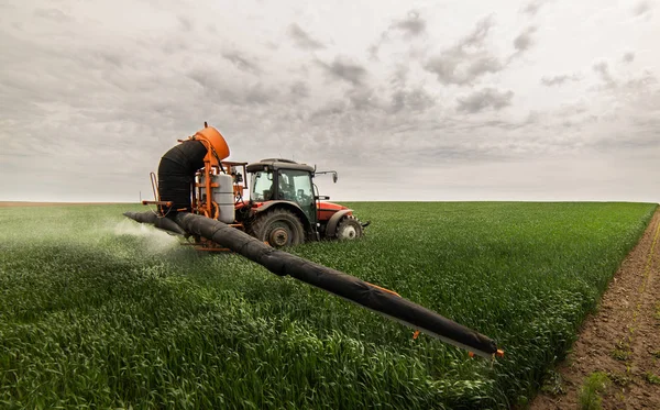 Traktor versprüht Pestizide auf Weizenfeld — Stockfoto