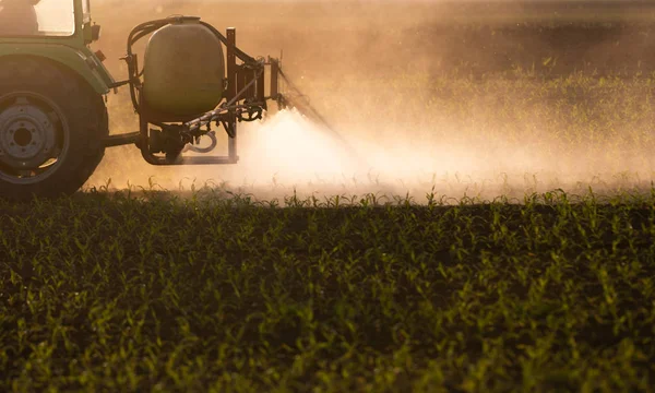 Tractor rociando pesticidas en el campo de maíz — Foto de Stock