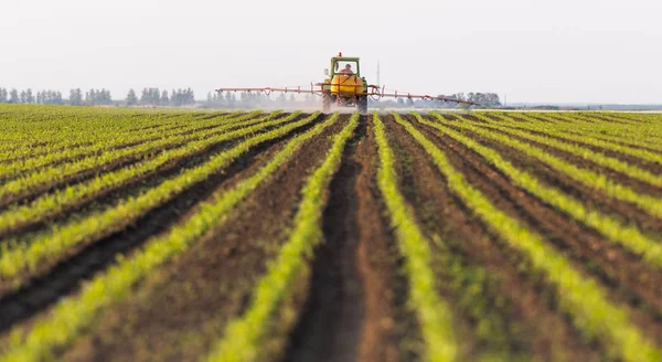 Tractor spuiten pesticiden op maïsveld — Stockfoto