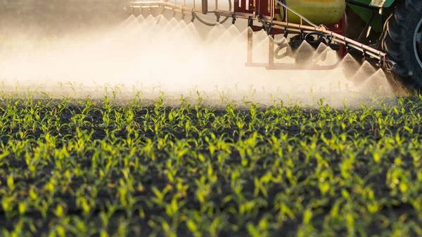 Pulvérisation de pesticides par tracteur au champ de maïs — Photo