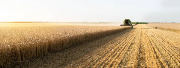 Erntemaschine bei der Arbeit in der Sommersonne — Stockfoto