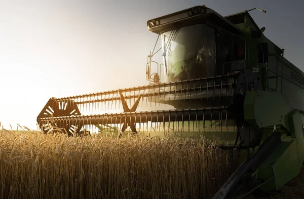 Harvester aan het werk in zomerzon — Stockfoto