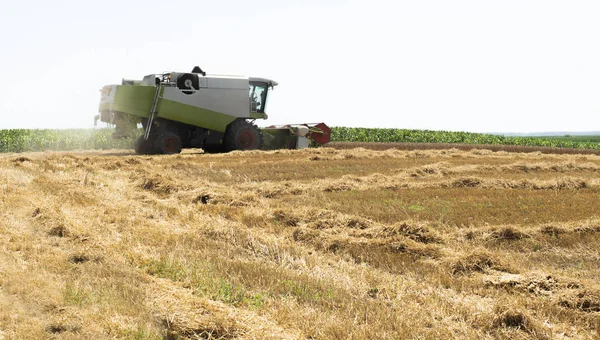 Harvester aan het werk in zomerzon — Stockfoto