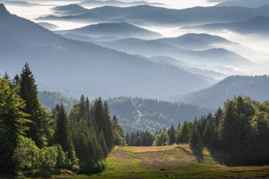 Dağ Jahorina tepesinden dağ sırası