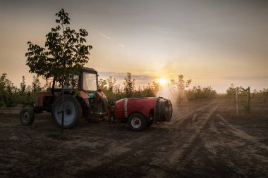Meyve bahçesinde ağaç püskürtme. 