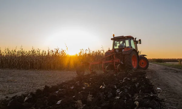 Traktor plöjning fält i solnedgången — Stockfoto