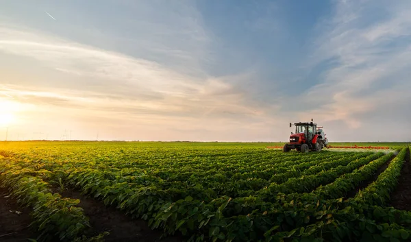 Traktor penyemprotan bidang kedelai — Stok Foto