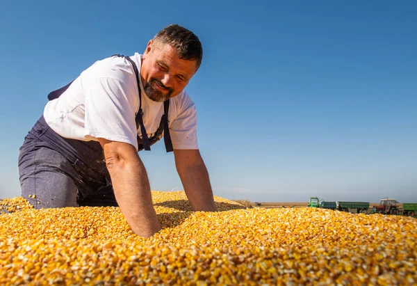 Feliz agricultor después de la cosecha de maíz — Foto de Stock