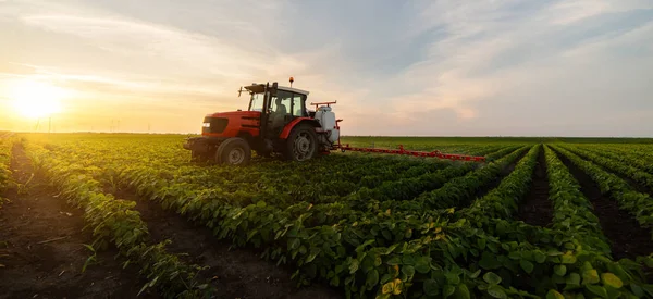 Traktor stříká sójové pole při západu slunce — Stock fotografie