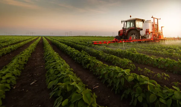 Trator pulverizando campo de soja no por do sol — Fotografia de Stock