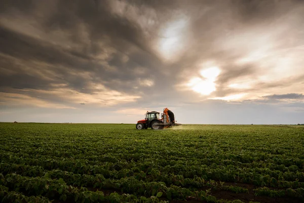 Tractor Rociando Pesticidas Campo Soja Con Pulverizador Primavera — Foto de Stock