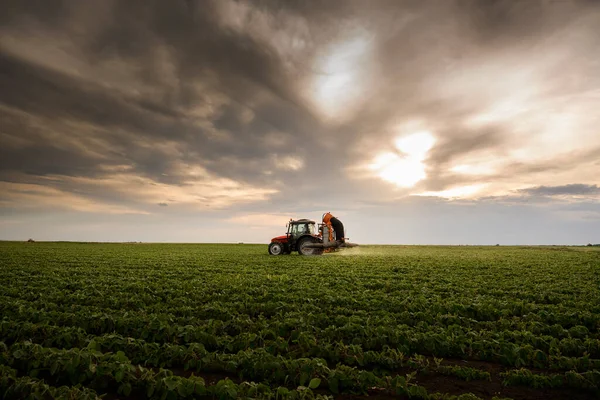 Trekker Sproeien Pesticiden Soja Veld Met Sproeiapparaat Het Voorjaar — Stockfoto