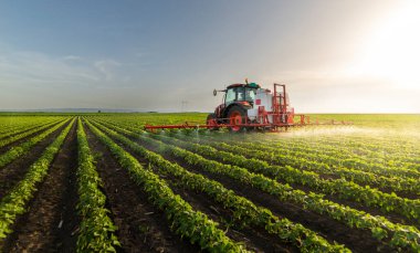 Tractor spraying pesticides on soy field  with sprayer at spring clipart