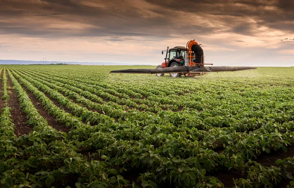 Traktor Penyemprotan Pestisida Lahan Kedelai Dengan Penyemprot Pada Musim Semi — Stok Foto