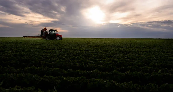 Tractor Rociando Pesticidas Campo Soja Con Pulverizador Primavera — Foto de Stock