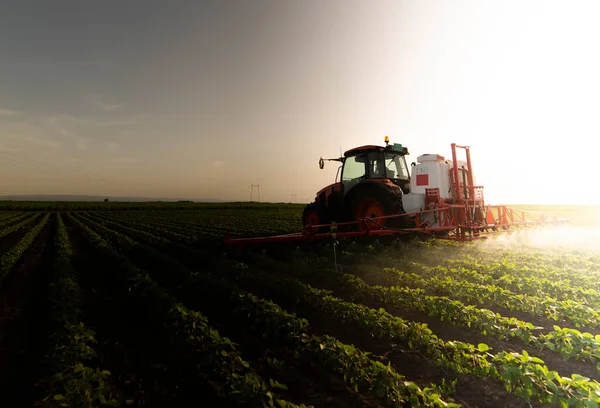 Trekker Sproeien Pesticiden Soja Veld Met Sproeiapparaat Het Voorjaar — Stockfoto