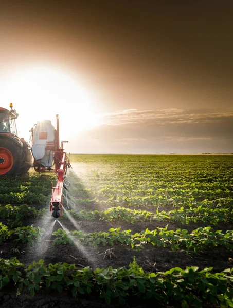 Trekker Sproeien Pesticiden Soja Veld Met Sproeiapparaat Het Voorjaar — Stockfoto