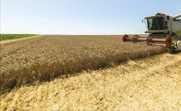 Una Cosechadora Que Trabaja Campo Trigo — Foto de Stock