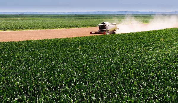 Combine Harvester Working Wheat Field — Stock Photo, Image