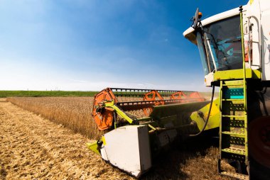 Buğday tarlasında çalışan bir biçerdöver.