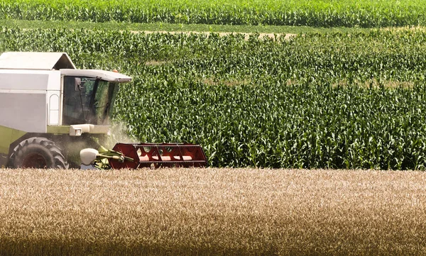 Ein Mähdrescher Bei Der Arbeit Auf Einem Weizenfeld — Stockfoto