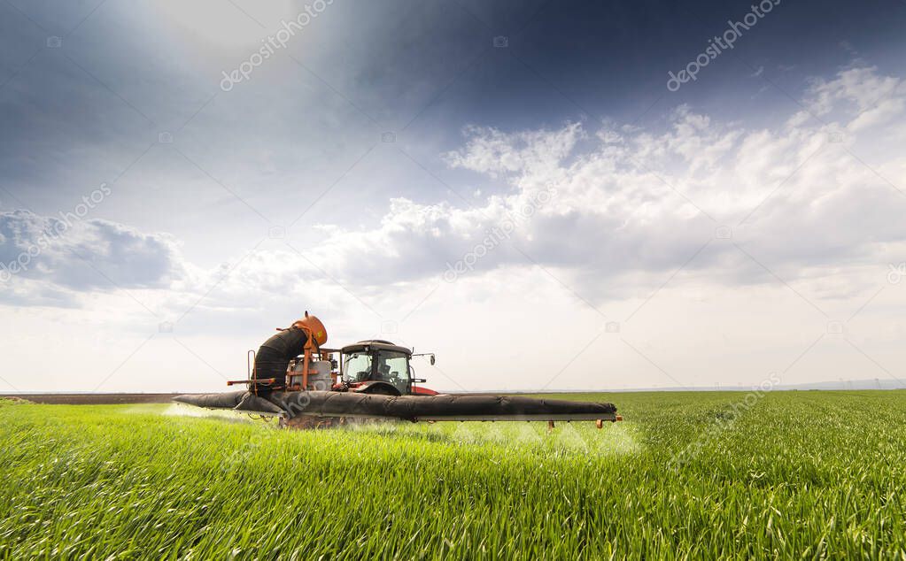 Tractor spraying pesticides over a green field