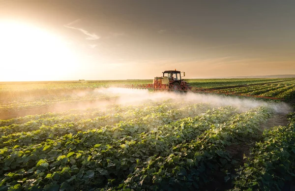 Tractor Spraying Pesticides Vegetable Field Sprayer Spring — Stock Photo, Image