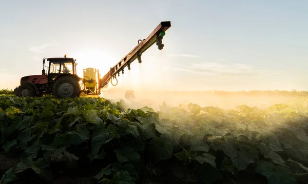 Trekker Sproeien Pesticiden Plantaardige Akker Met Sproeiapparaat Het Voorjaar — Stockfoto