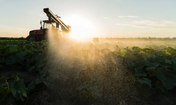 Tractor Pulverización Pesticidas Campo Vegetal Con Pulverizador Primavera — Foto de Stock