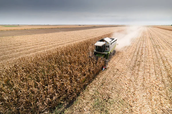 Combine Operador Colheita Milho Campo Dia Ensolarado — Fotografia de Stock