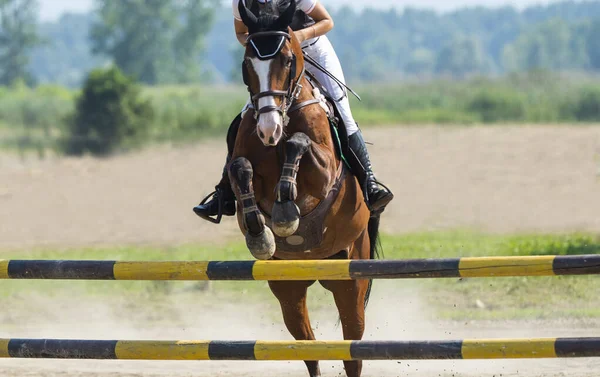 Jovem Piloto Menina Pulando Cavalo Sobre Obstáculo Show Salto Competição — Fotografia de Stock