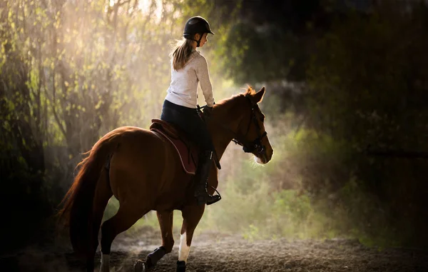 Jeune Jolie Fille Chevauchant Cheval — Photo