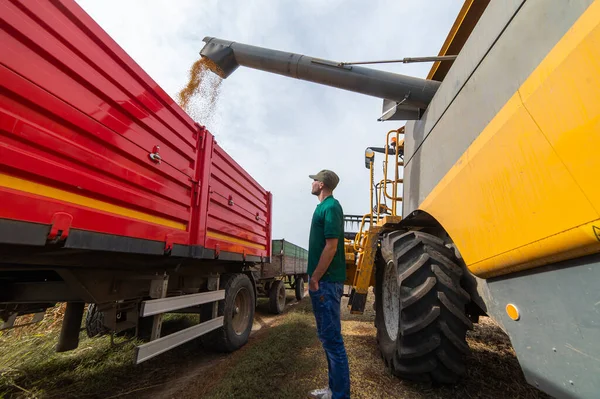 Przystojny Rolnik Stojący Przed Kombajnem Zbożowym Przyczepami Podczas Zbiorów — Zdjęcie stockowe