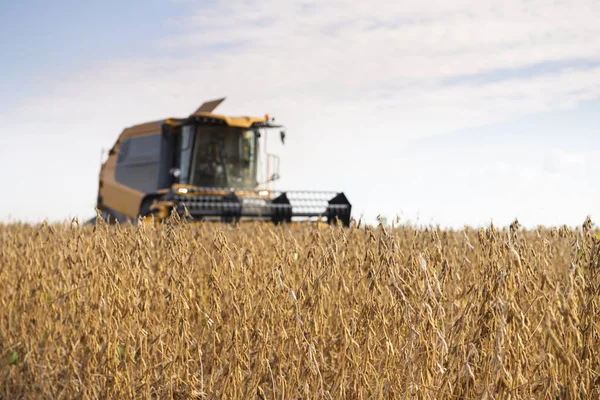 Combine Harvester Working Wheat Field — Stock Photo, Image