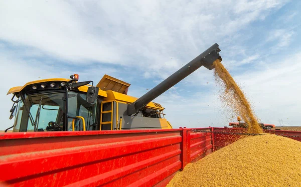 Tarière Grain Combiner Verser Soja Dans Remorque Tracteur — Photo