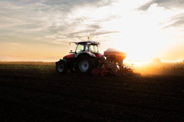 Saha, traktör ve günbatımı. Traktör gün batımında tarlayı eker.
