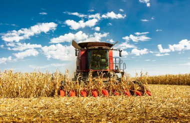 Sunny Day 'de Tarlada Mısır Toplama Operatörünü Birleştir.