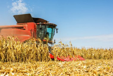 Sunny Day 'de Tarlada Mısır Toplama Operatörünü Birleştir.