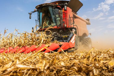 Sunny Day 'de Tarlada Mısır Toplama Operatörünü Birleştir.
