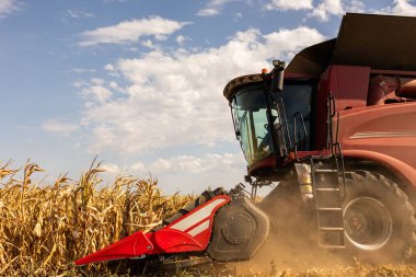 Sunny Day 'de Tarlada Mısır Toplama Operatörünü Birleştir.